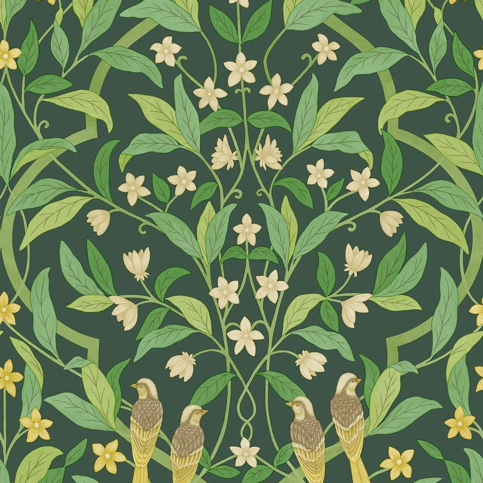 Cole & Son Jasmine & Serin Symphony wallpaper