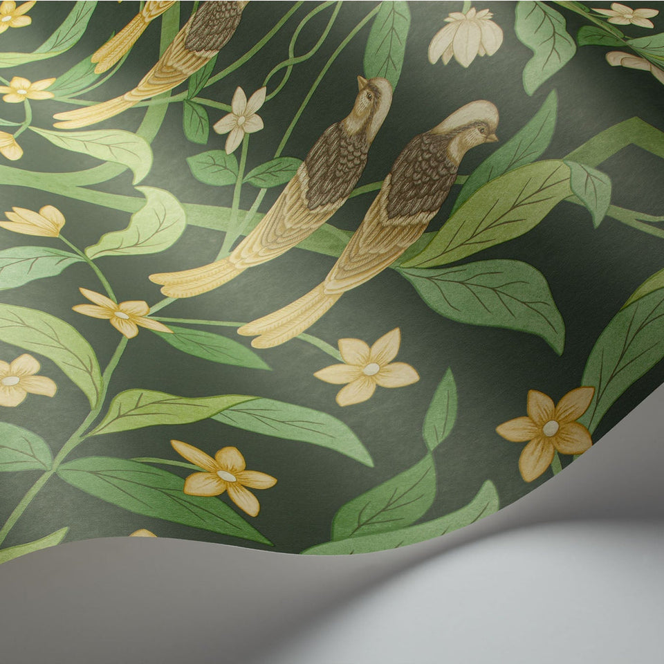 Cole & Son Jasmine & Serin Symphony wallpaper