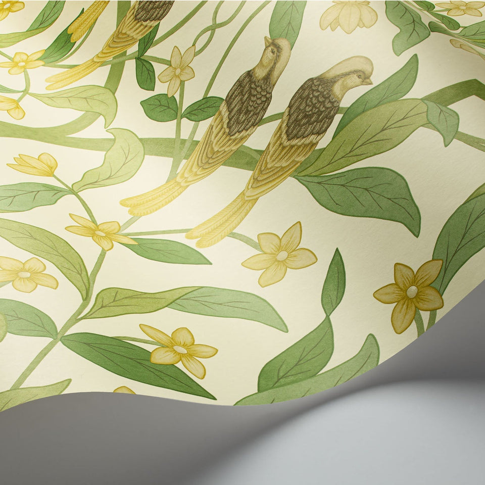 Cole & Son Jasmine & Serin Symphony wallpaper