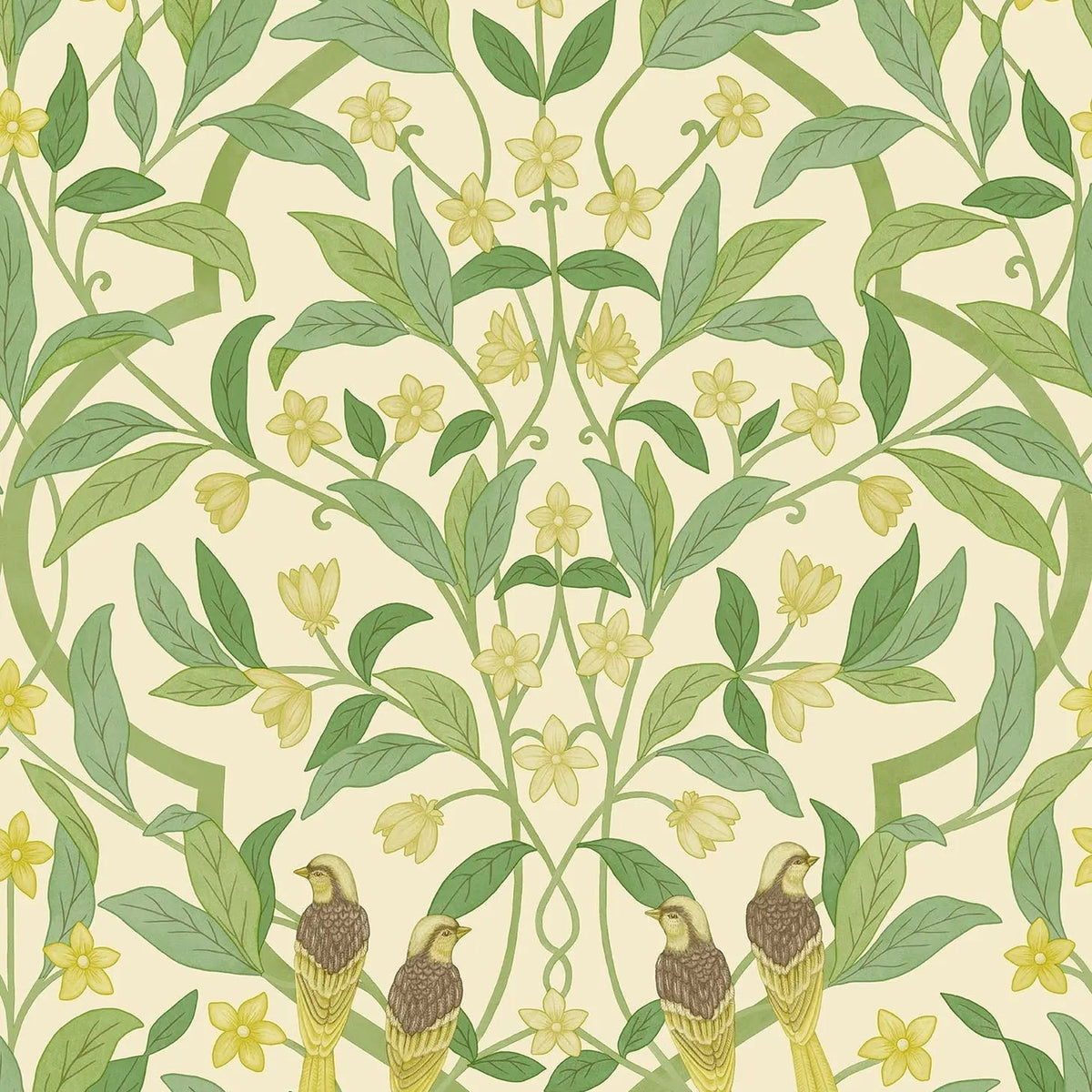 Cole & Son Jasmine & Serin Symphony wallpaper