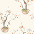 Cole & Son Kaki Persimmon wallpaper
