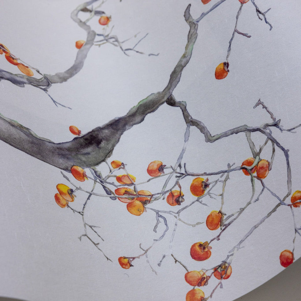 Cole & Son Kaki Persimmon wallpaper