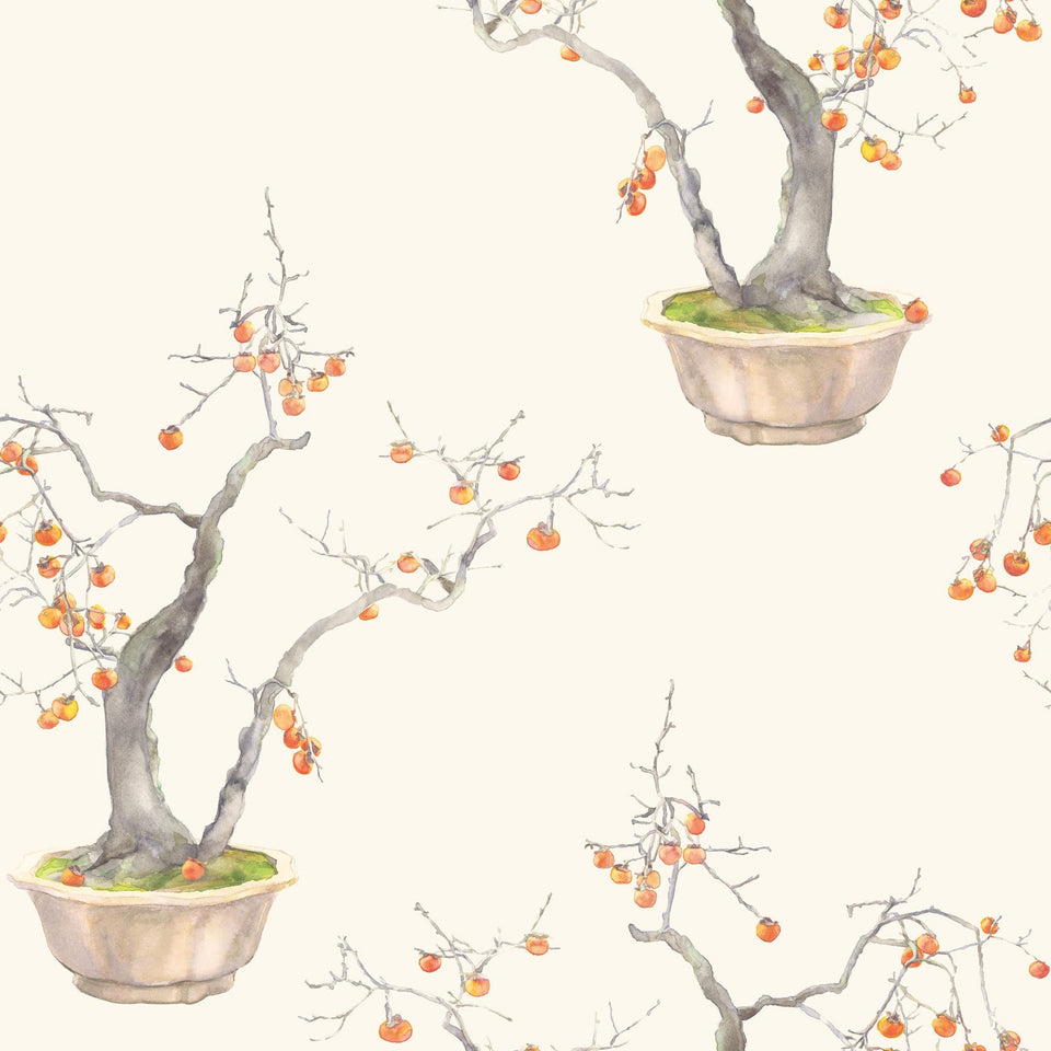 Cole & Son Kaki Persimmon wallpaper