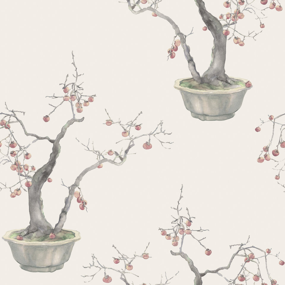 Cole & Son Kaki Persimmon wallpaper