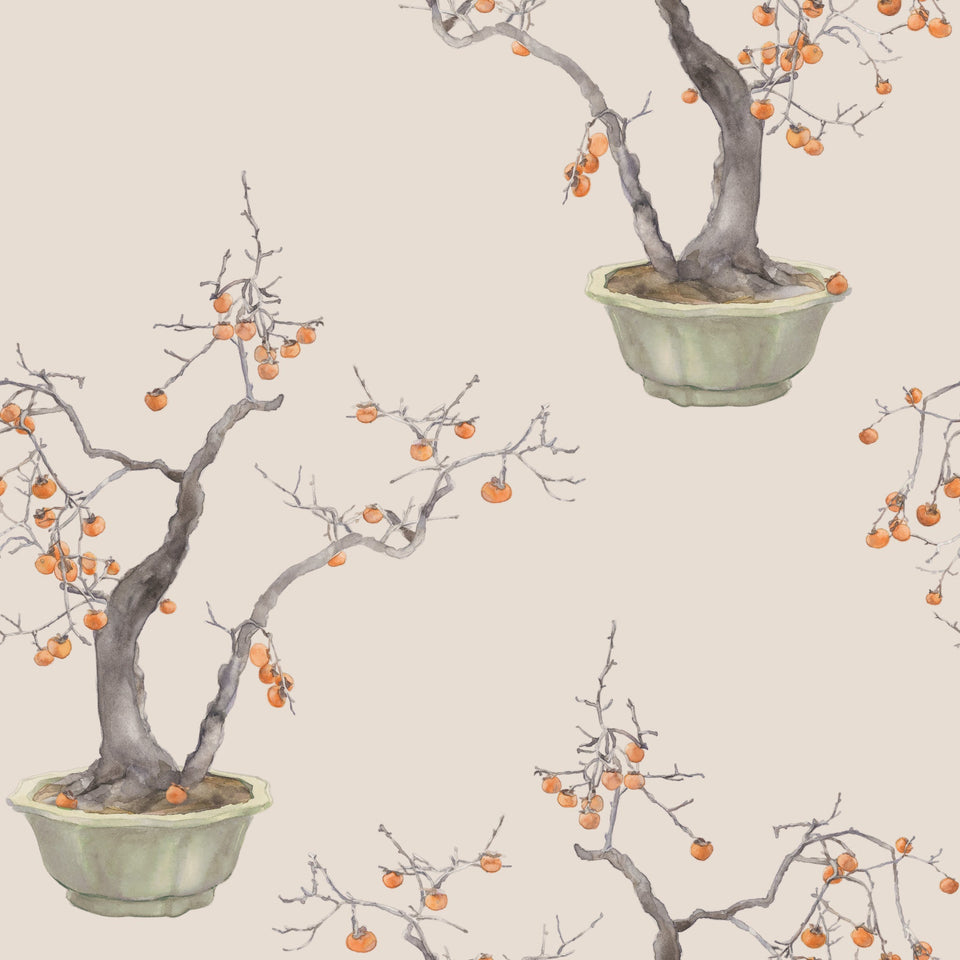 Cole & Son Kaki Persimmon wallpaper