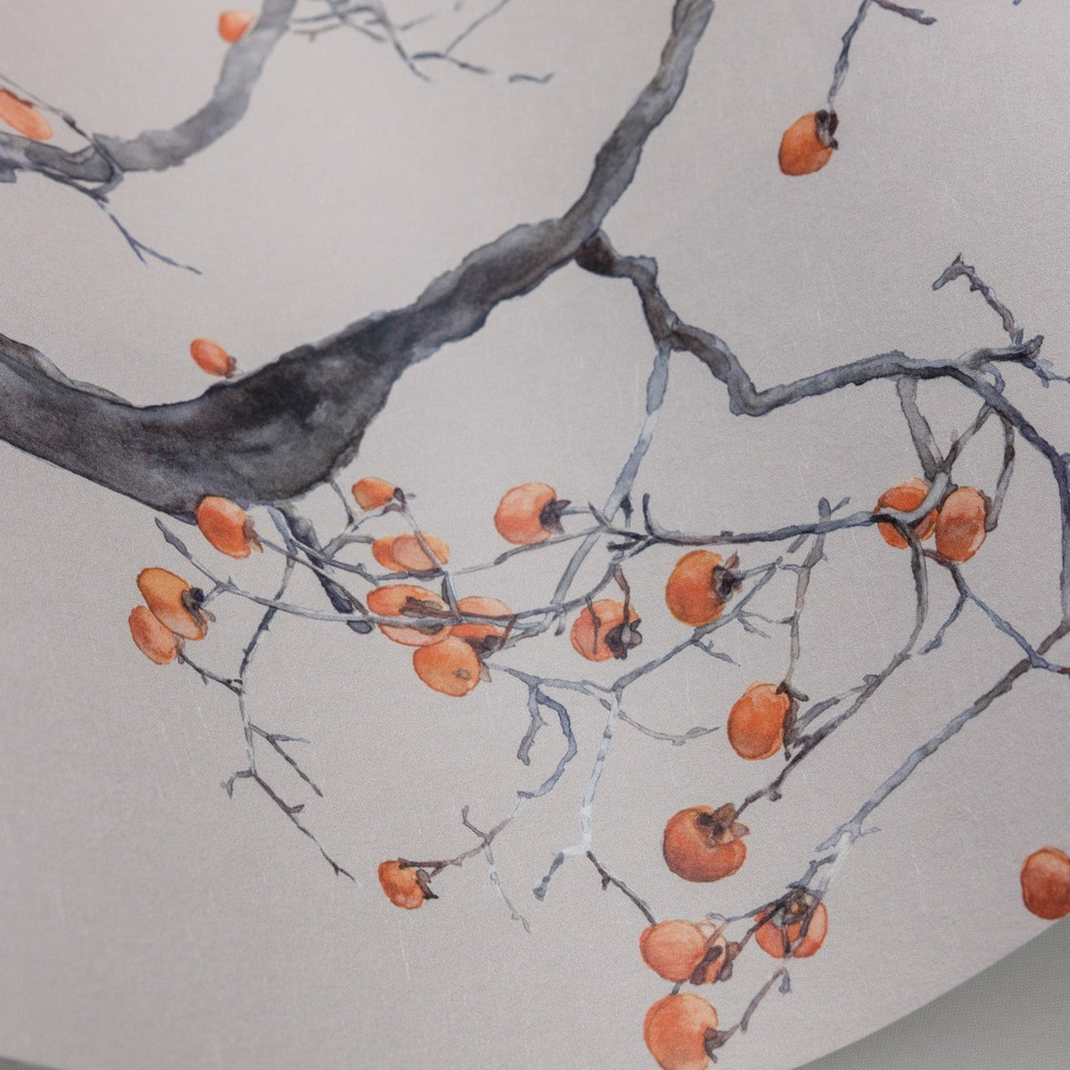 Cole & Son Kaki Persimmon wallpaper