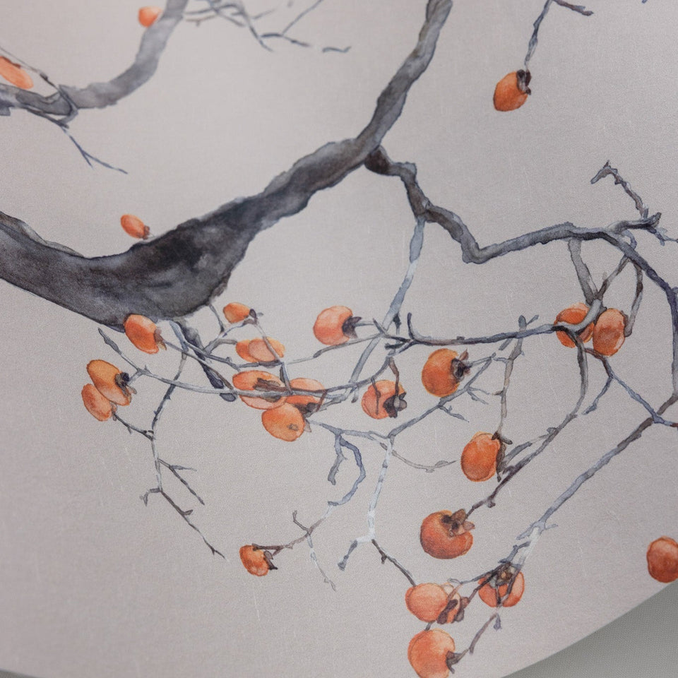 Cole & Son Kaki Persimmon wallpaper