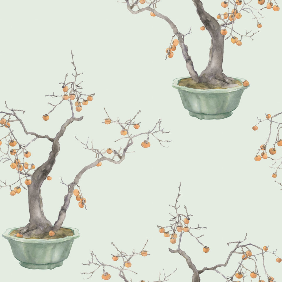 Cole & Son Kaki Persimmon wallpaper