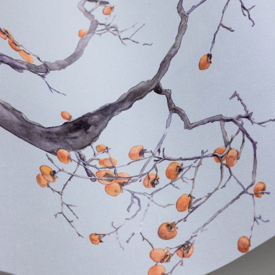 Cole & Son Kaki Persimmon wallpaper