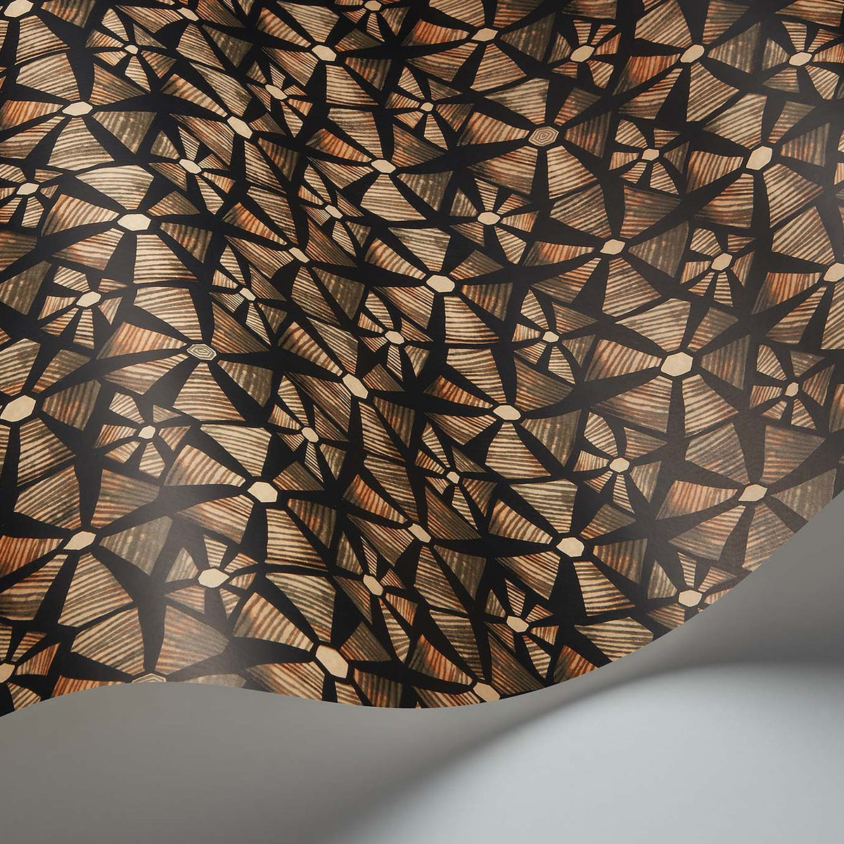 Kalahari wallpaper by Cole & Son — Spice & Black