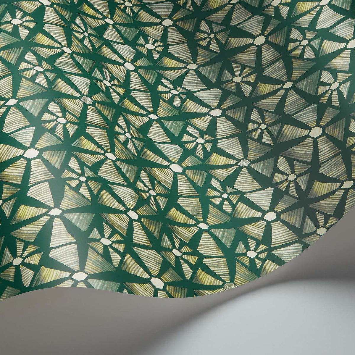 Kalahari wallpaper by Cole & Son — Forest Green & Racing Green