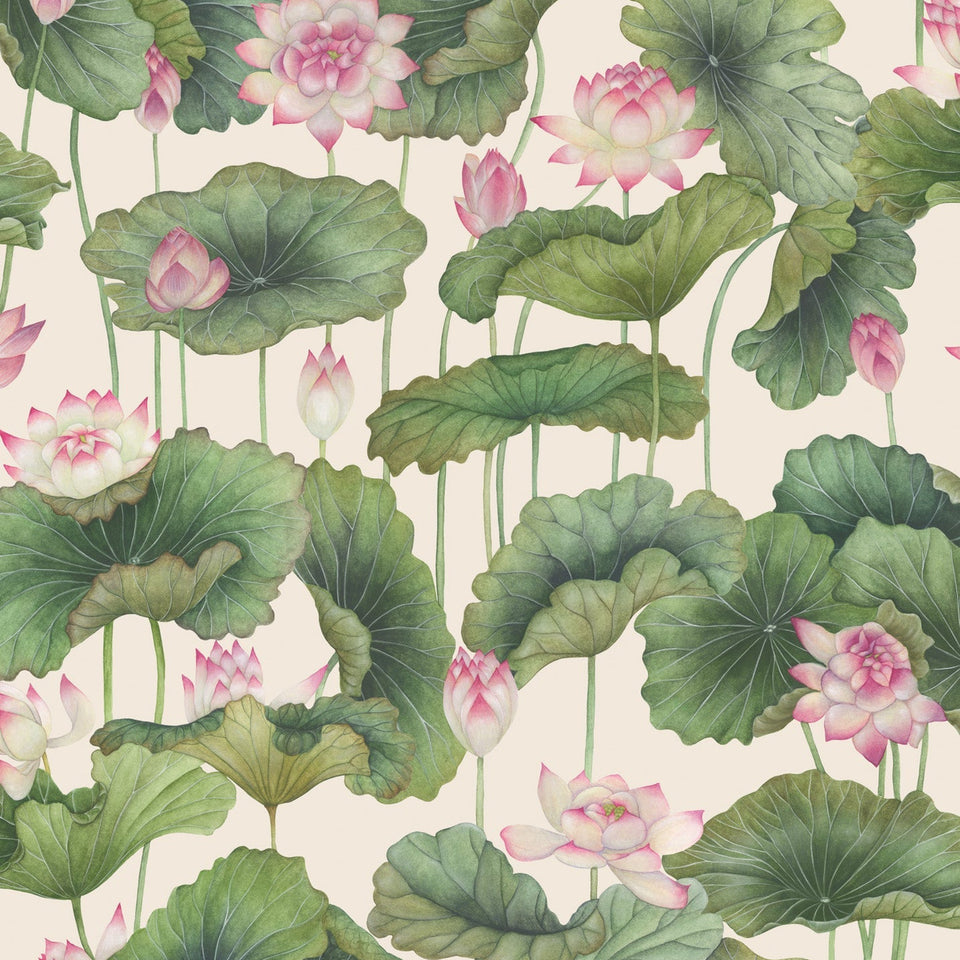 Lily Lotus wallpaper by Cole & Son — Pink & White