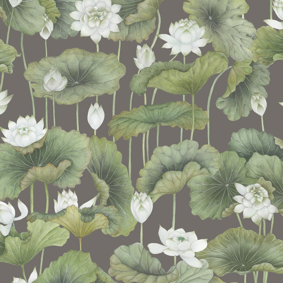 Lily Lotus wallpaper by Cole & Son — White on Charcoal
