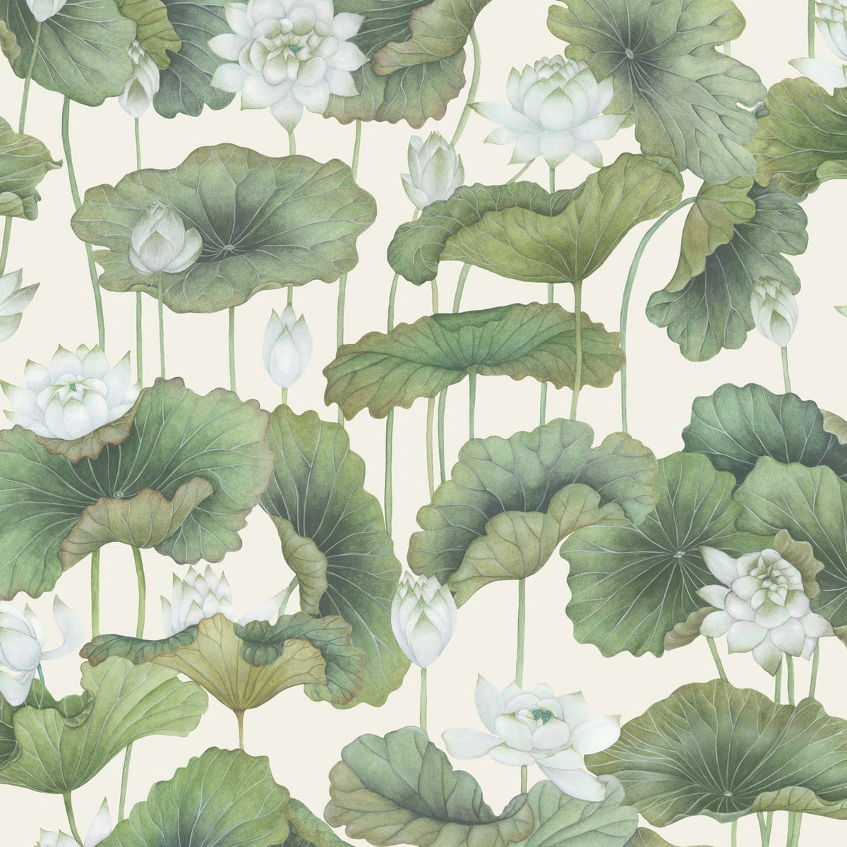 Lily Lotus wallpaper by Cole & Son — Leaf Greens on Cream