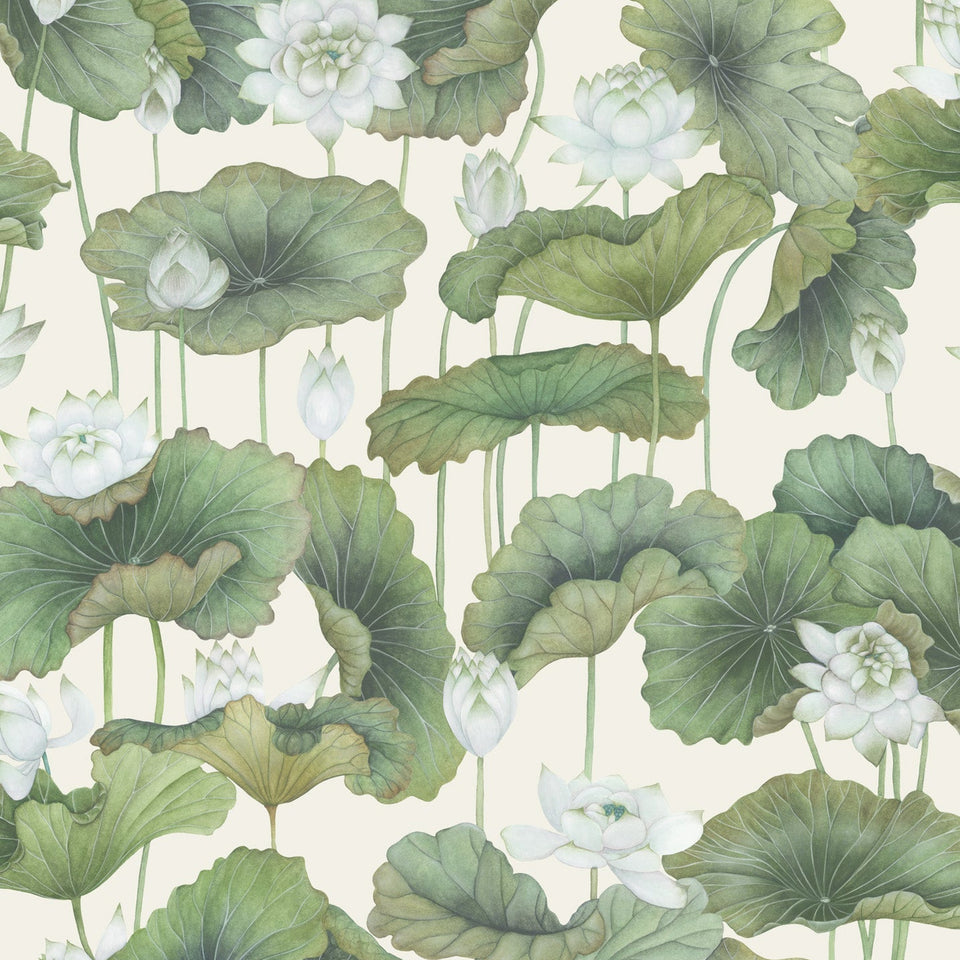 Lily Lotus wallpaper by Cole & Son — Leaf Greens on Cream