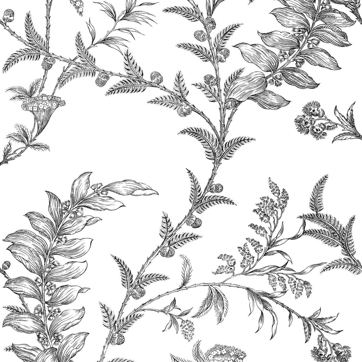 Ludlow wallpaper by Cole & Son in Black on White