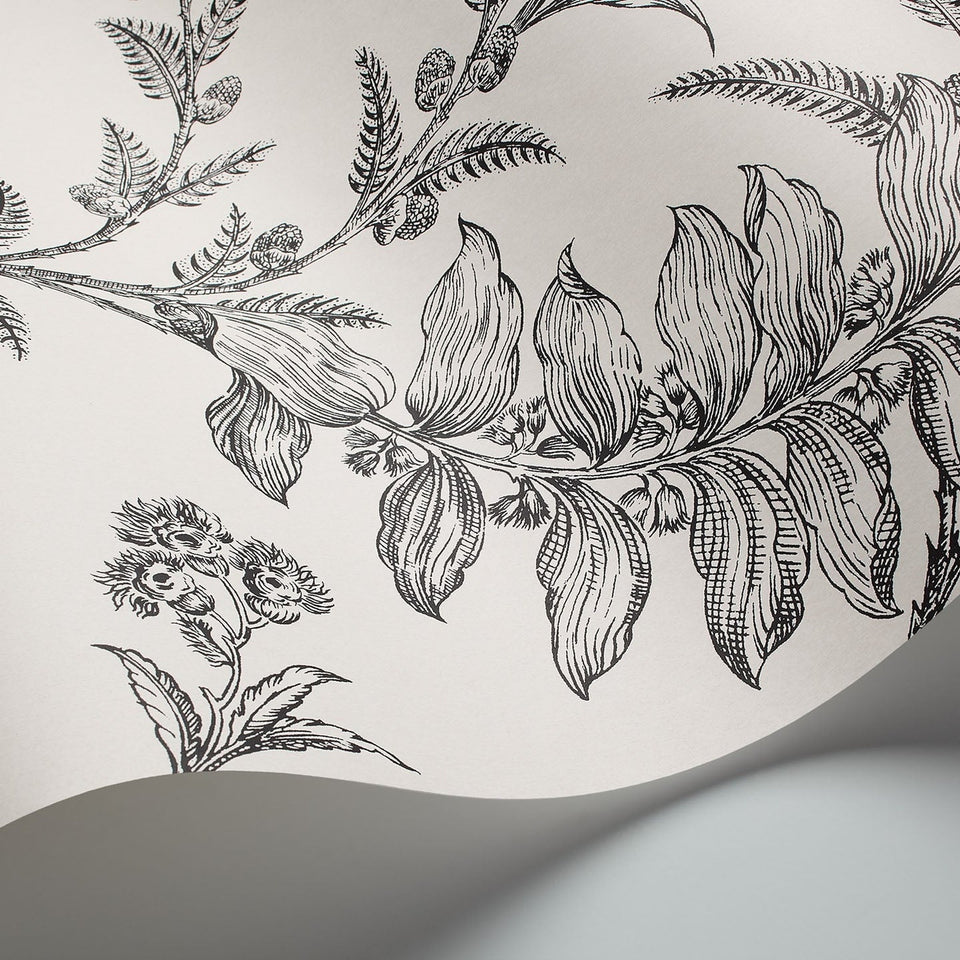Ludlow wallpaper by Cole & Son in Black on White, detail