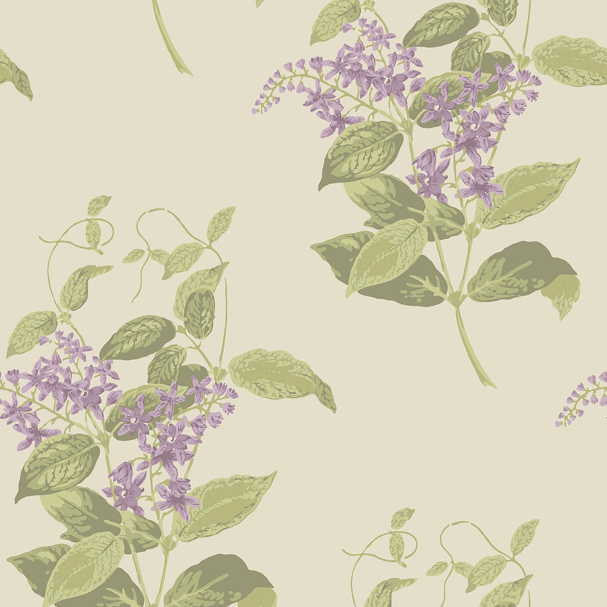 Madras Violet wallpaper by Cole & Son in Purple & Olive on Cream
