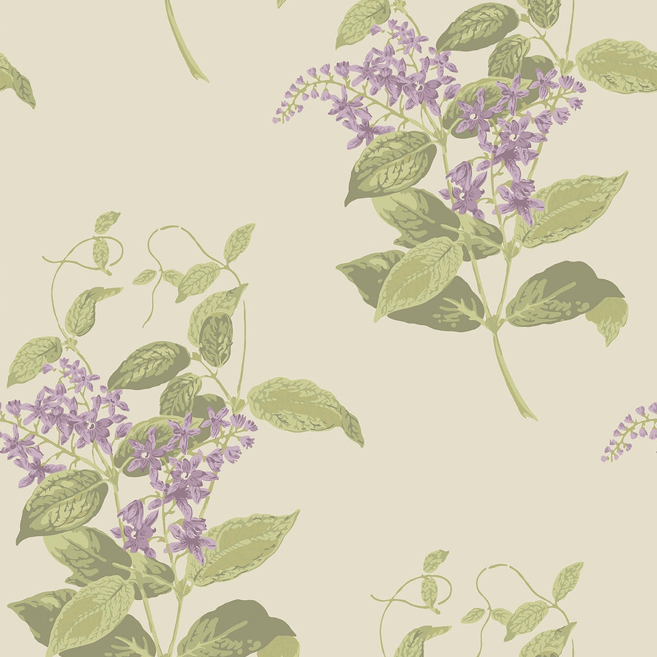 Madras Violet wallpaper by Cole & Son in Purple & Olive on Cream