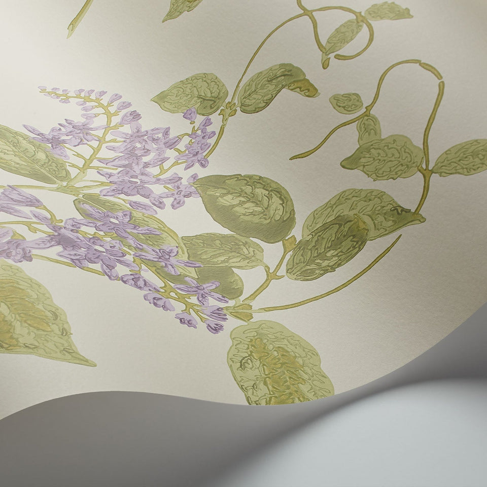 Madras Violet wallpaper by Cole & Son in Purple & Olive on Cream, detail
