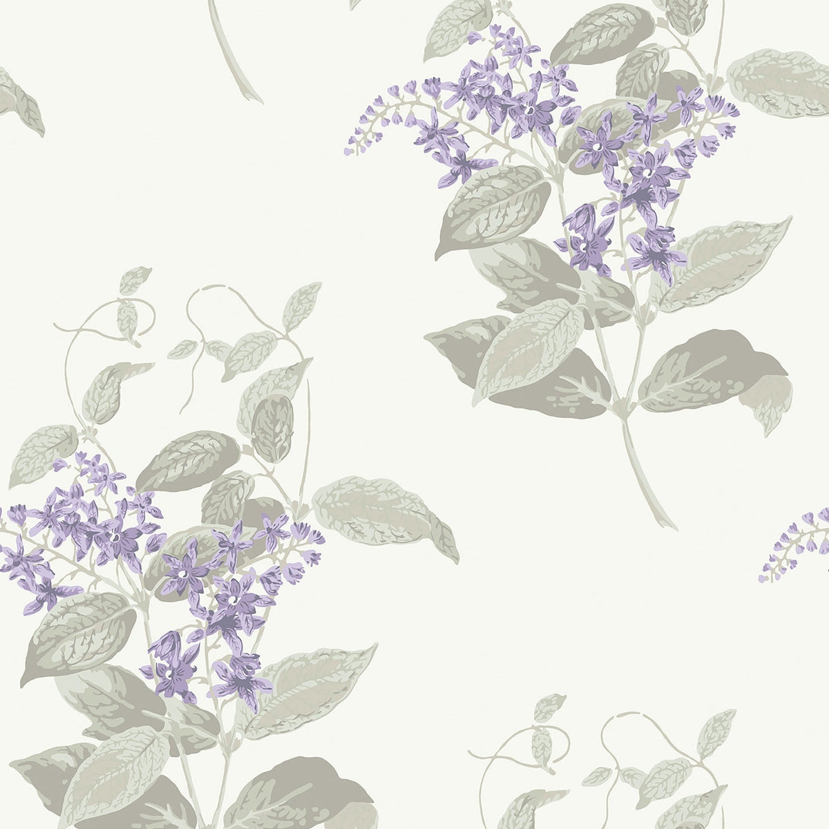 Madras Violet wallpaper by Cole & Son in Lilac & Stone on Chalk