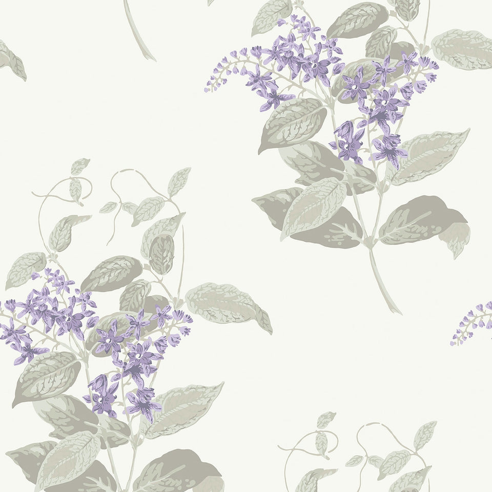Madras Violet wallpaper by Cole & Son in Lilac & Stone on Chalk