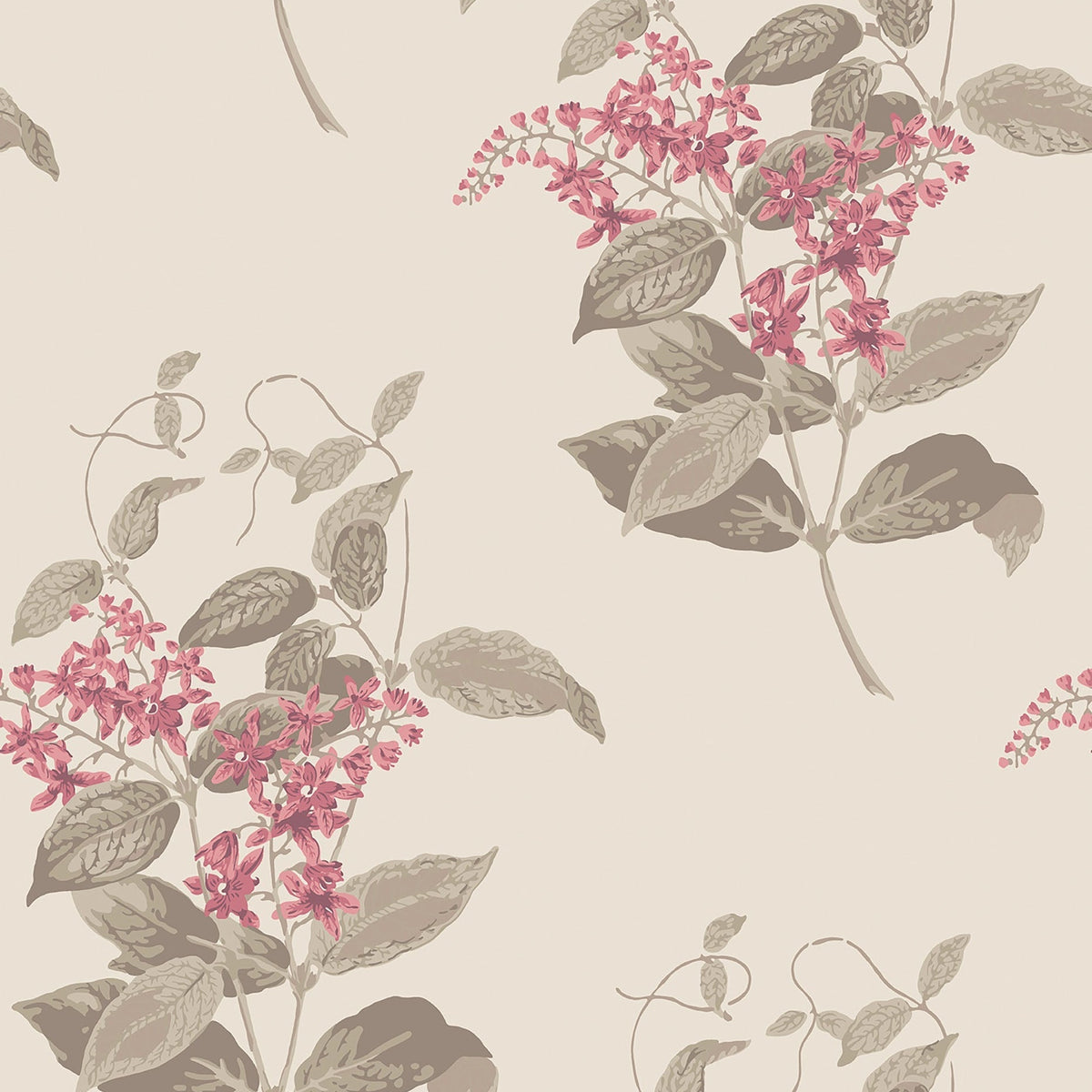 Madras Violet wallpaper by Cole & Son in Fuchsia & Linen on Parchment