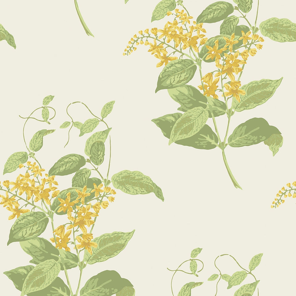 Madras Violet wallpaper by Cole & Son in Yellow & Linen on Parchment
