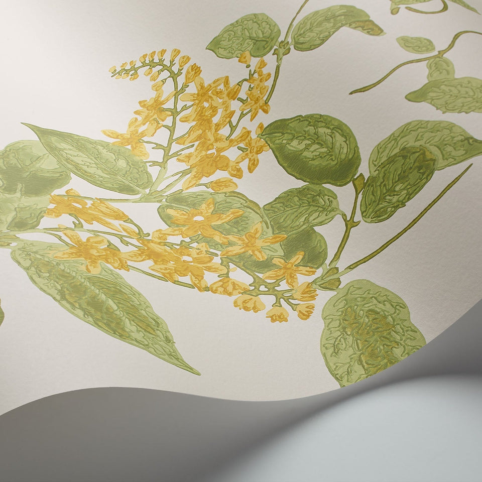 Madras Violet wallpaper by Cole & Son in Yellow & Linen on Parchment, detail