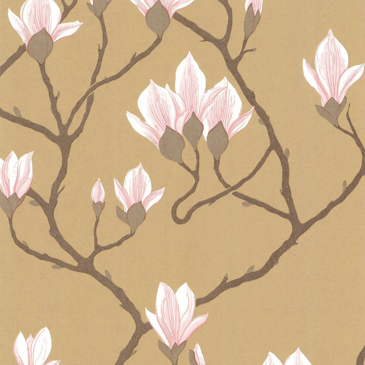 Magnolia wallpaper by Cole & Son, Blush Pink on Metallic Bronze