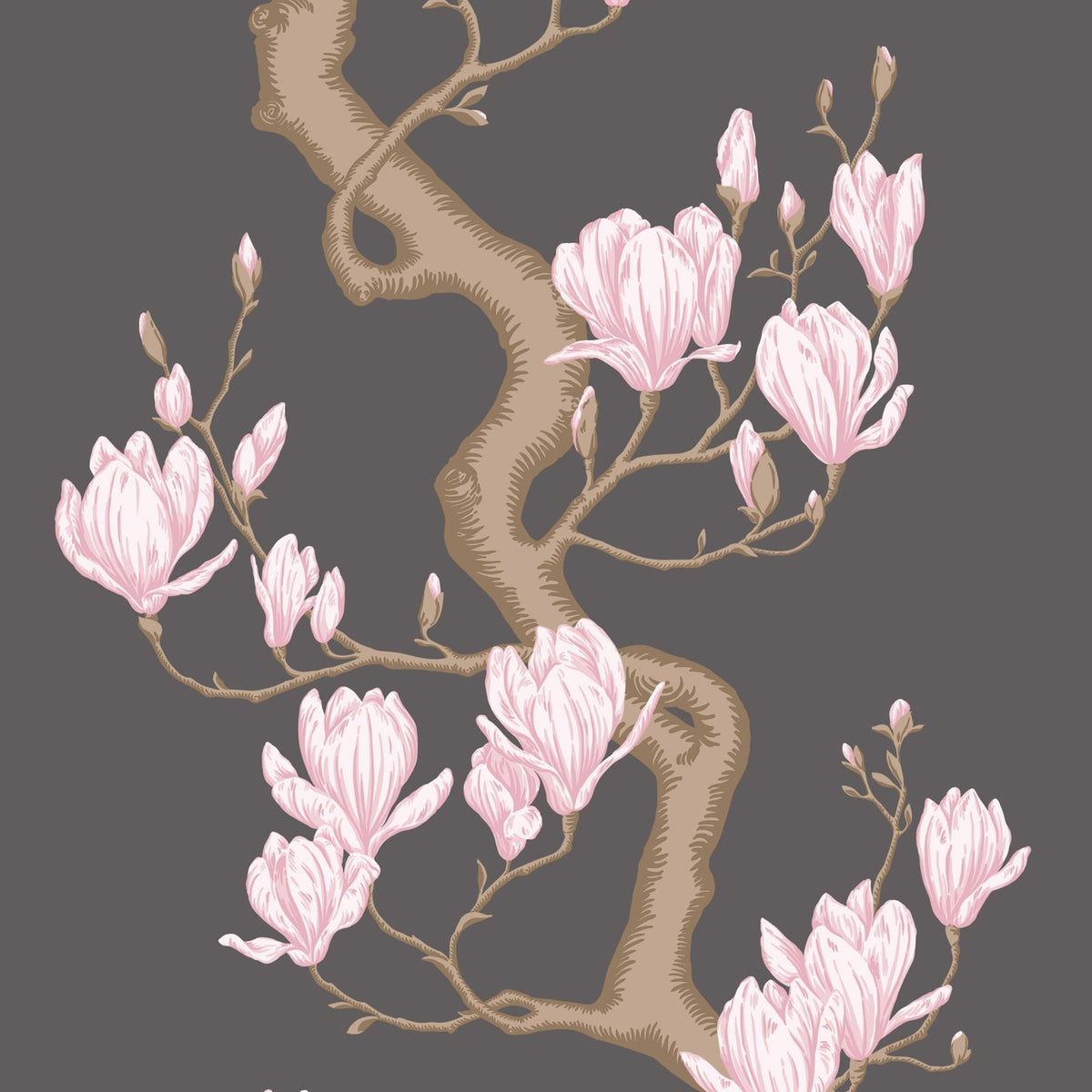 Magnolia Tree wallpaper by Cole & Son, Charcoal and Soft Pink