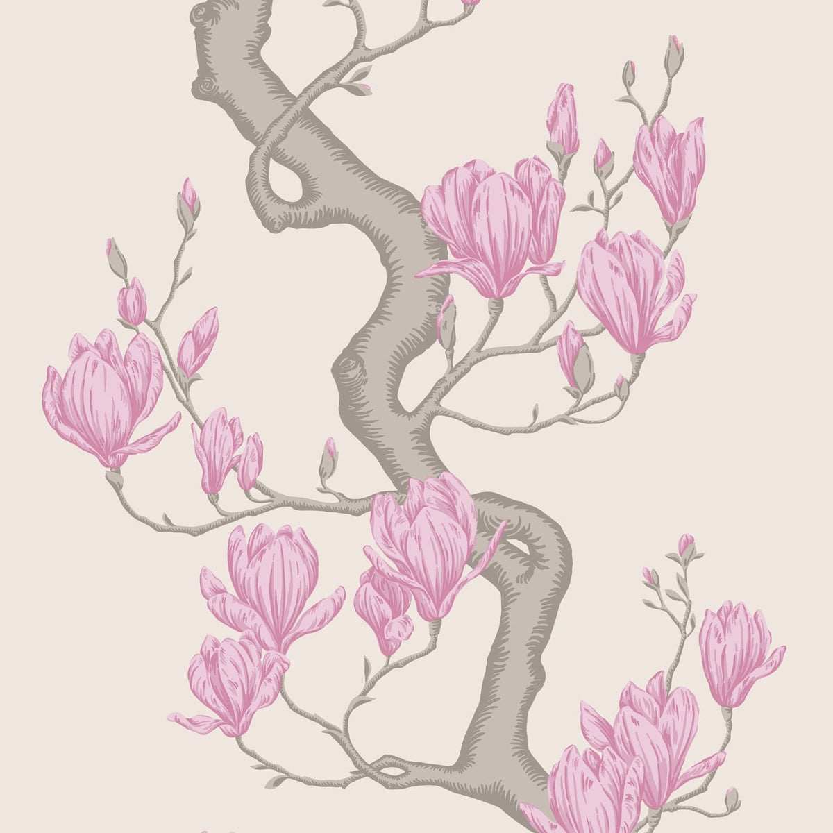 Magnolia Tree wallpaper by Cole & Son, Parchment and Soft Fuchsia