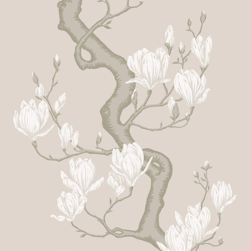 Magnolia Tree wallpaper by Cole & Son, Soft Cream and Powder