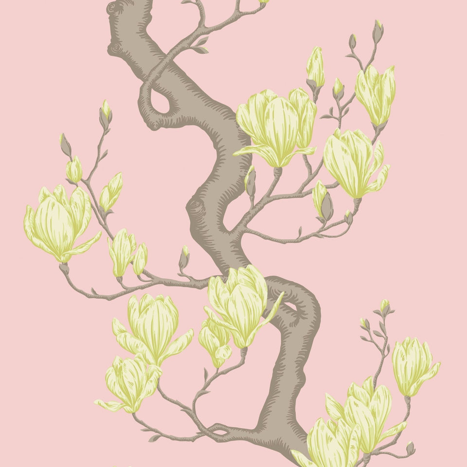 Magnolia Tree wallpaper by Cole & Son, Rose Pink and Soft Lemon