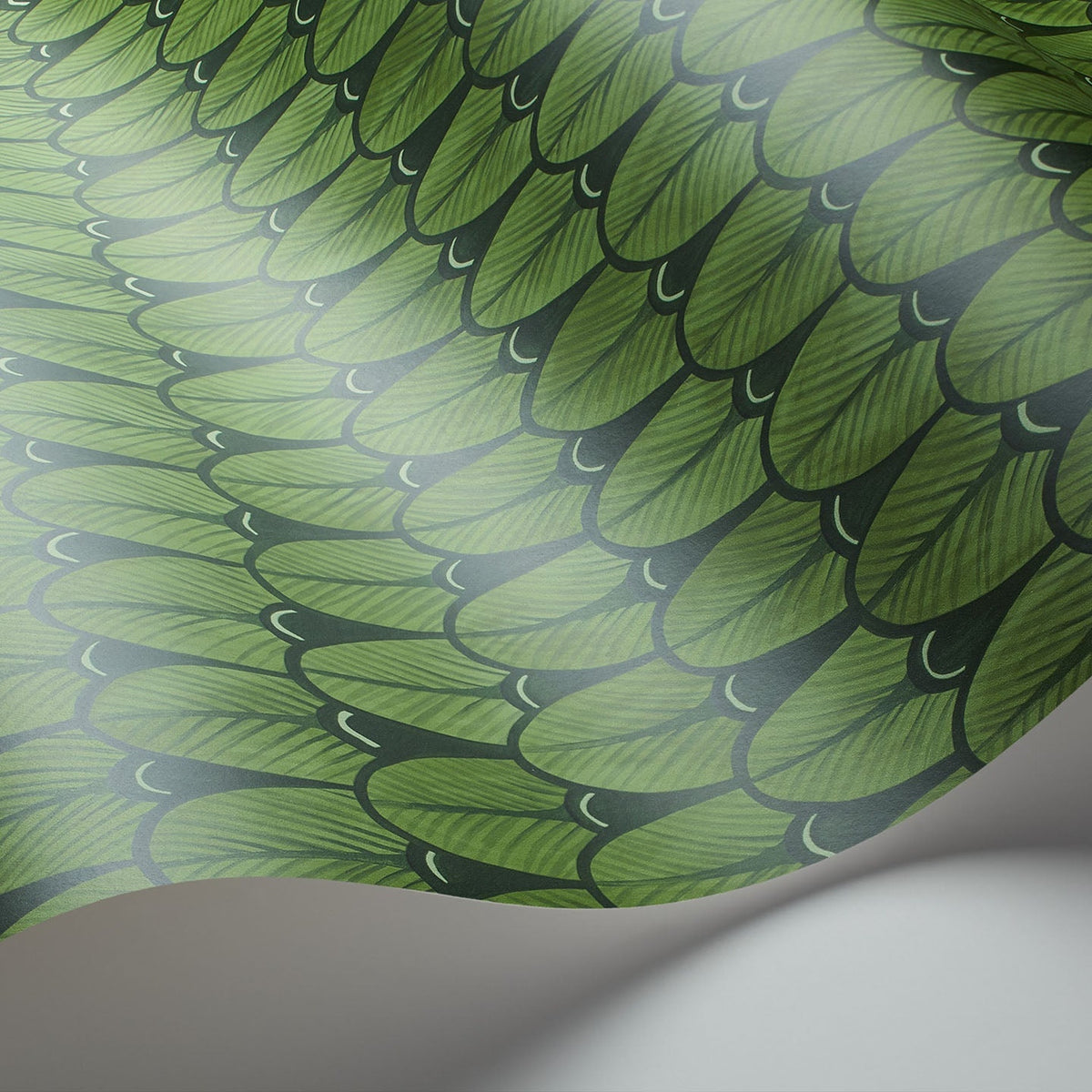 Cole & Son Narina 109/10045 wallpaper curved detail