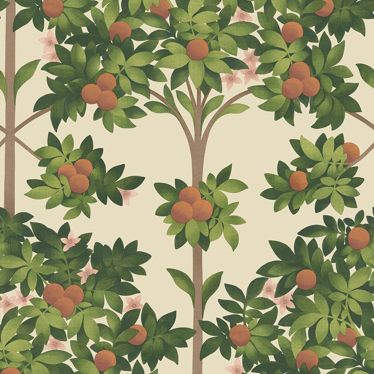 Cole & Son Orange Blossom 117/1001 wallpaper pattern