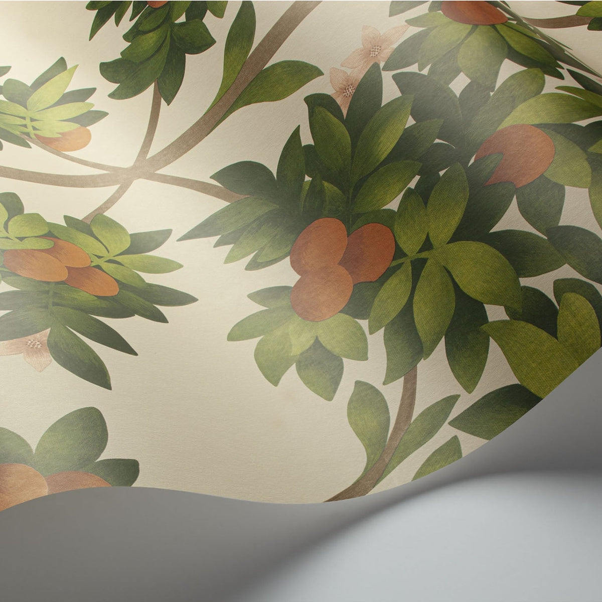 Cole & Son Orange Blossom 117/1001 wallpaper curved detail