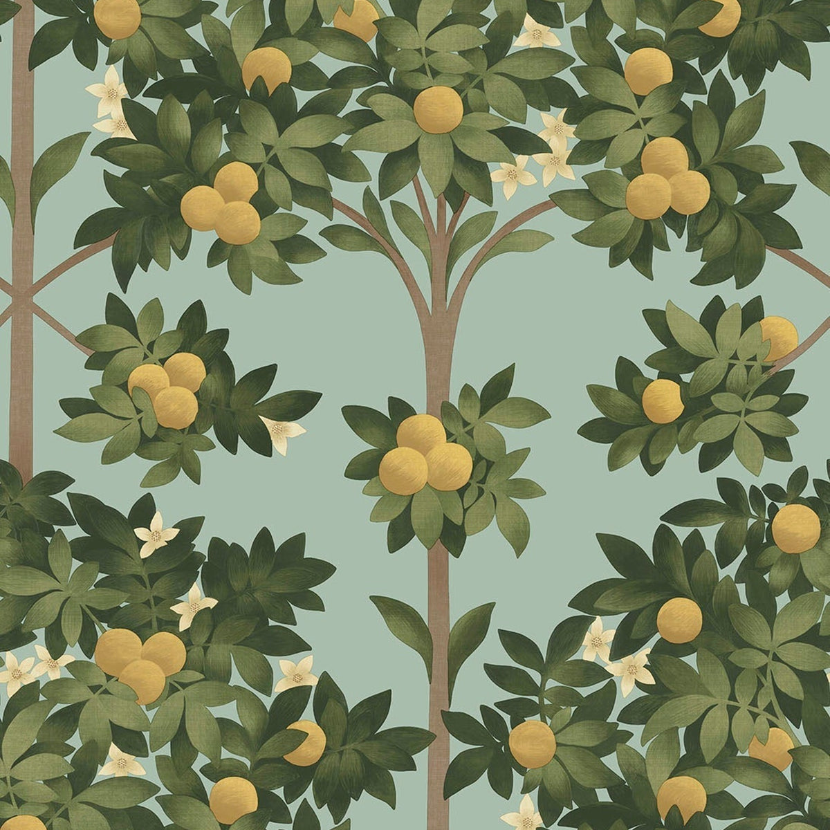 Cole & Son Orange Blossom 117/1002 wallpaper pattern