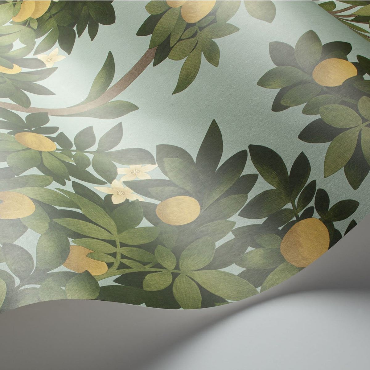 Cole & Son Orange Blossom 117/1002 wallpaper curved detail