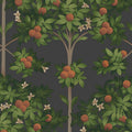 Cole & Son Orange Blossom 117/1003 wallpaper pattern