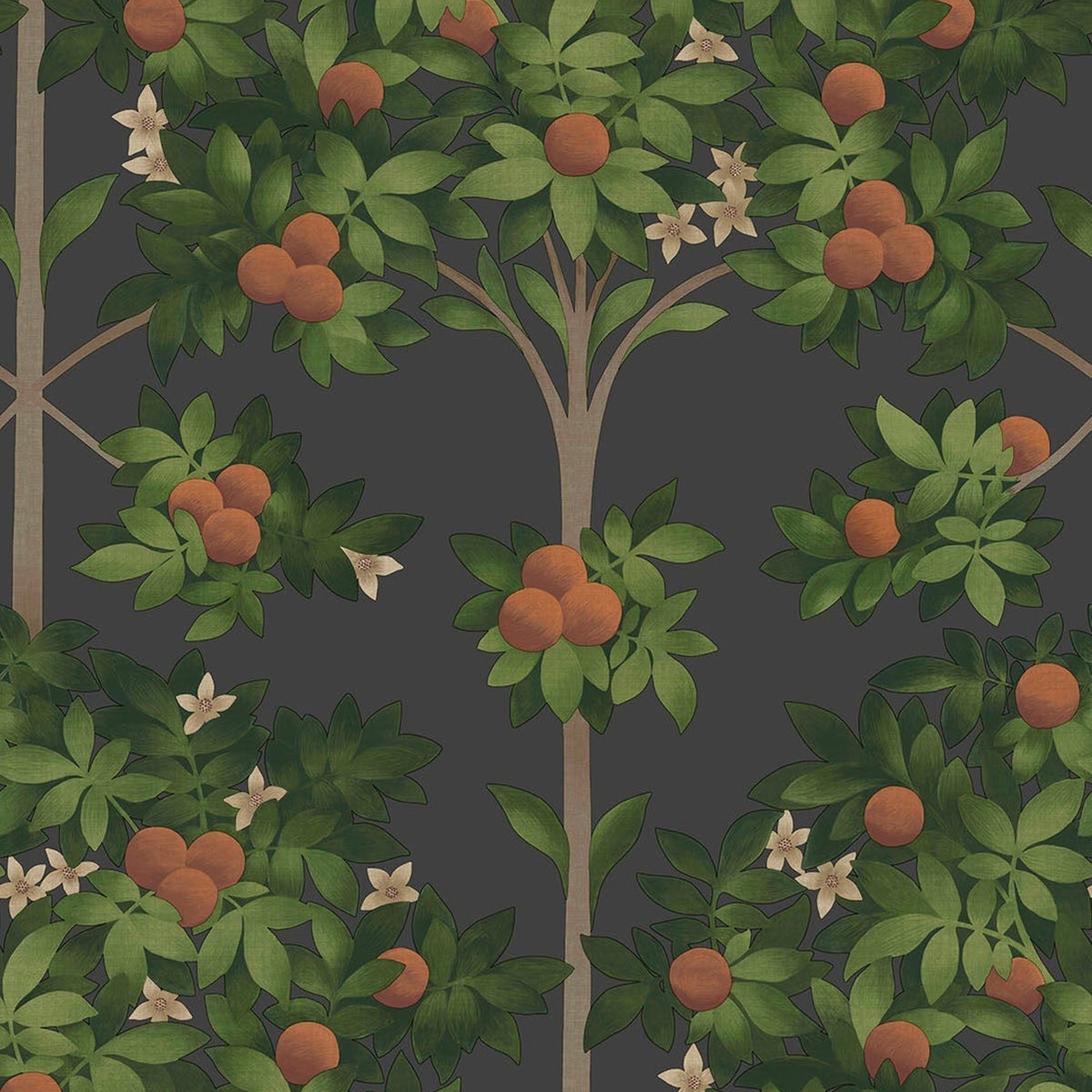 Cole & Son Orange Blossom 117/1003 wallpaper pattern