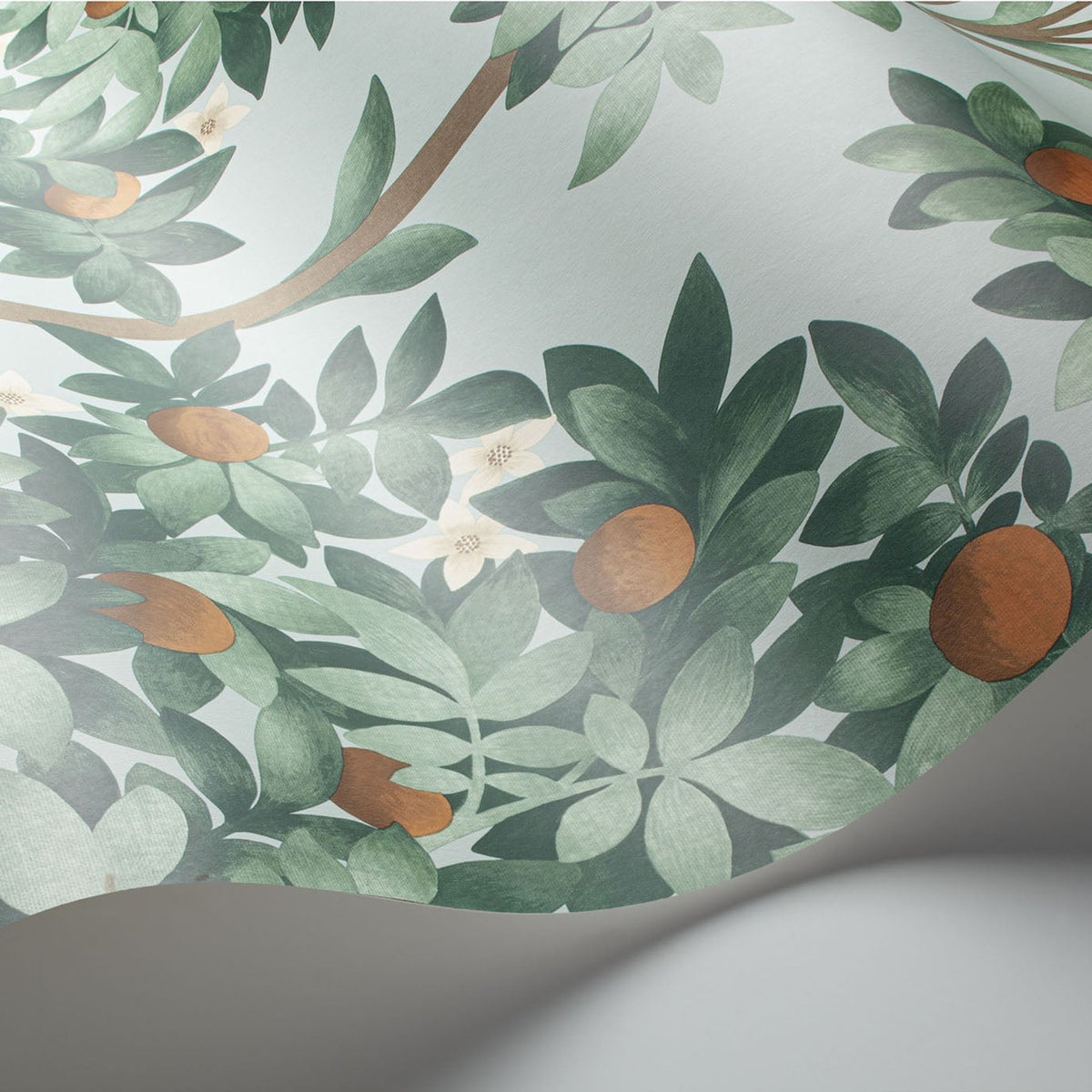Cole & Son Orange Blossom 117/1004 wallpaper curved detail
