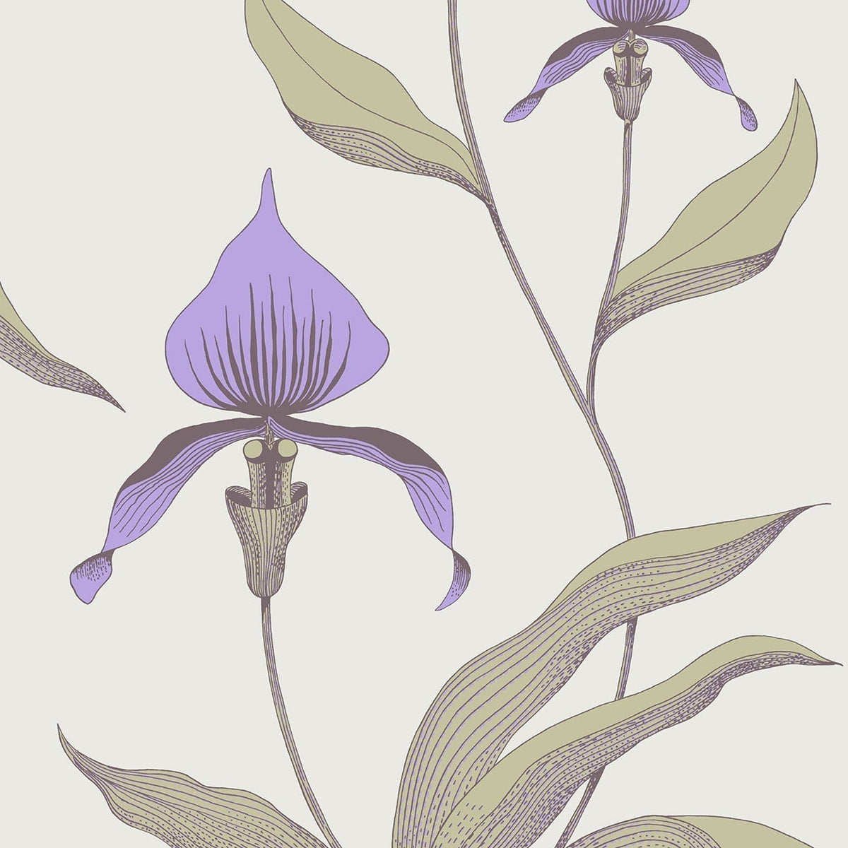 Cole & Son Orchid 66/4024 wallpaper pattern