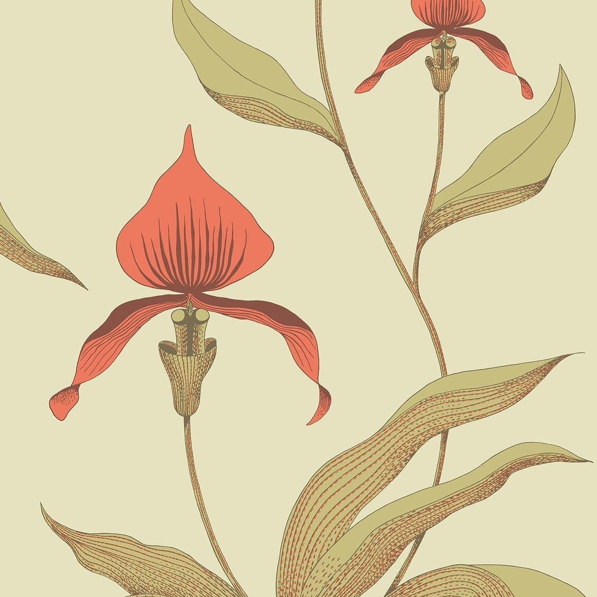 Cole & Son Orchid 66/4033 wallpaper pattern