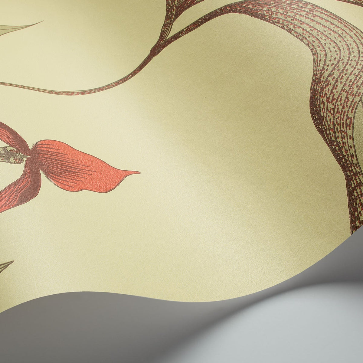 Cole & Son Orchid 66/4033 wallpaper curved detail