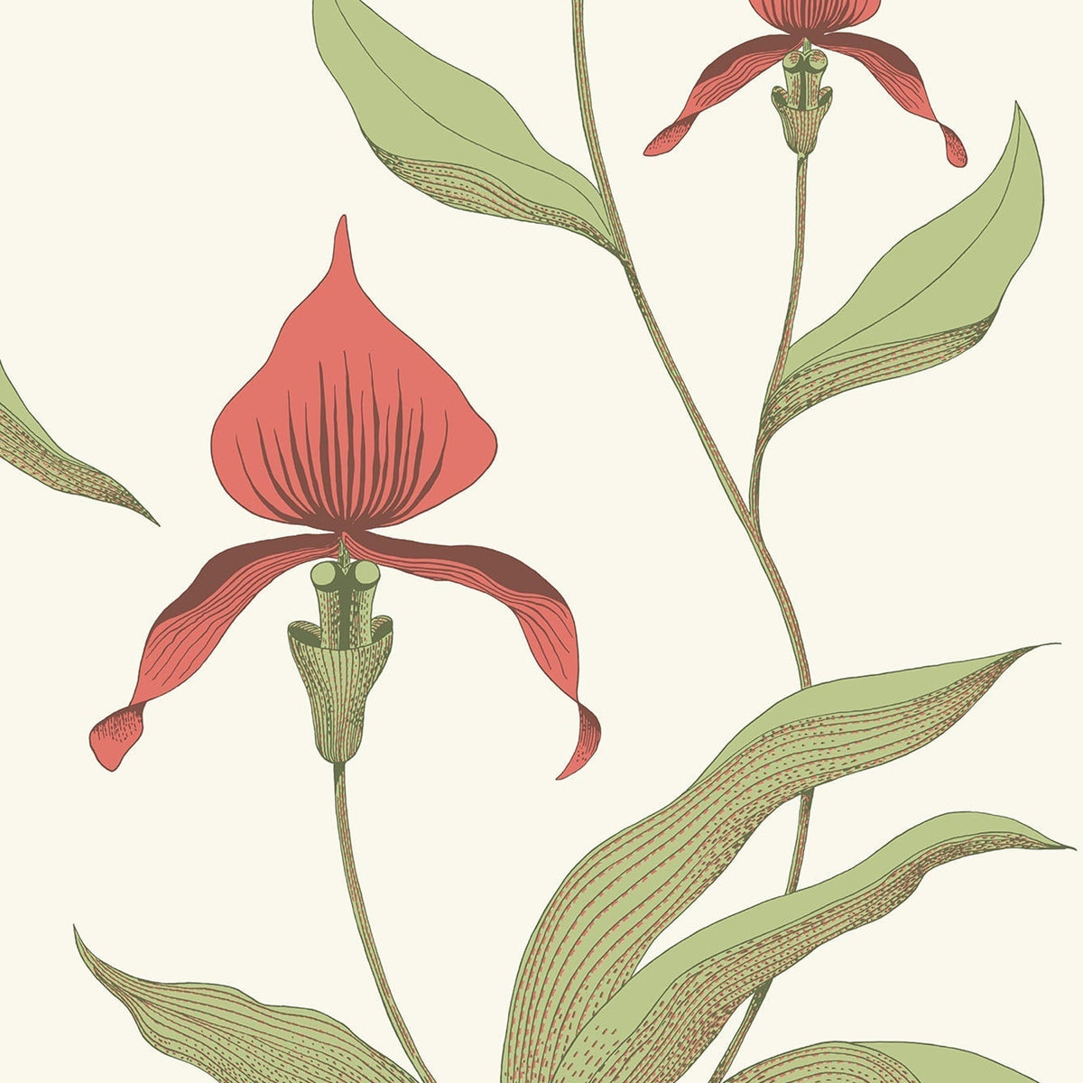 Cole & Son Orchid 95/10054 wallpaper pattern