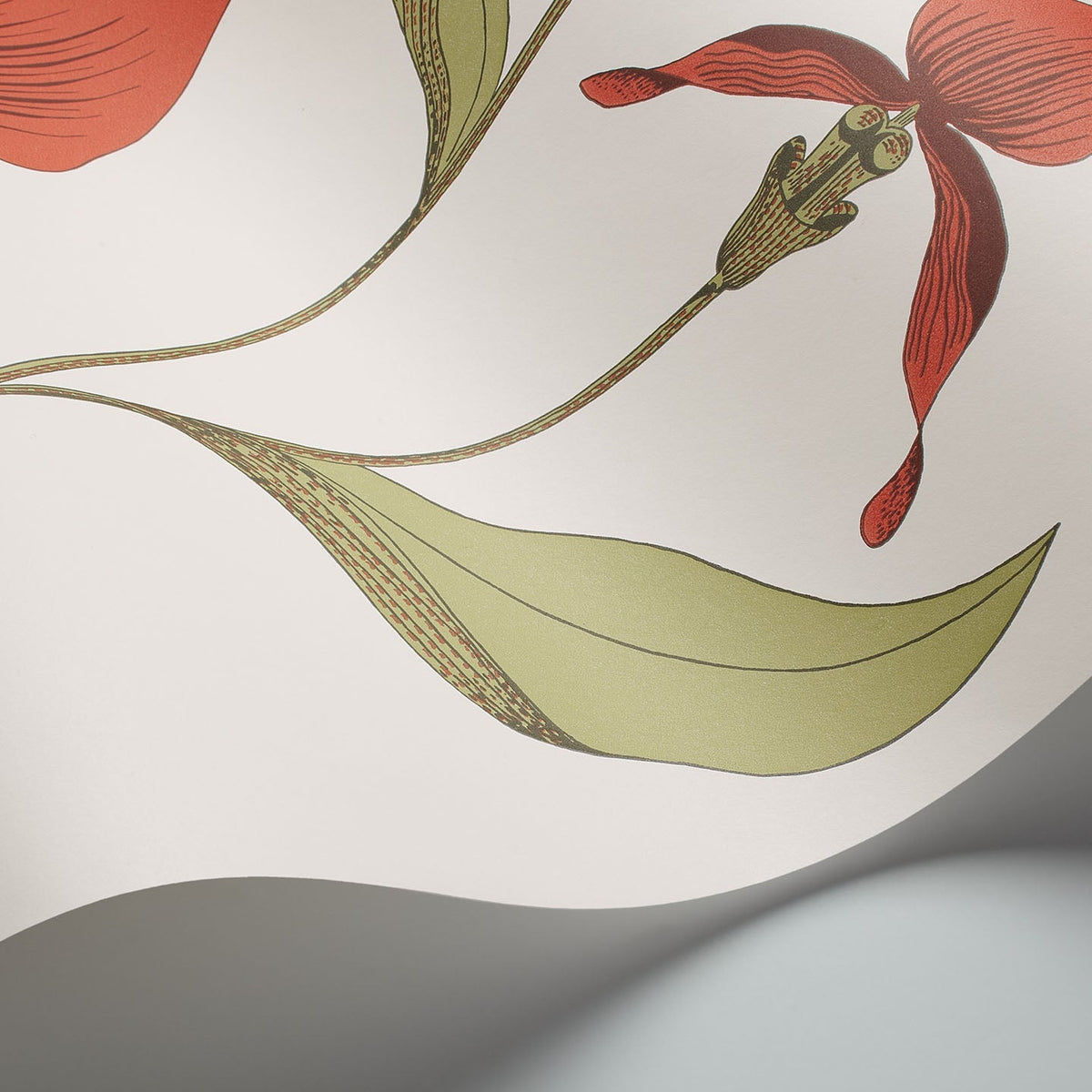 Cole & Son Orchid 95/10054 wallpaper curved detail