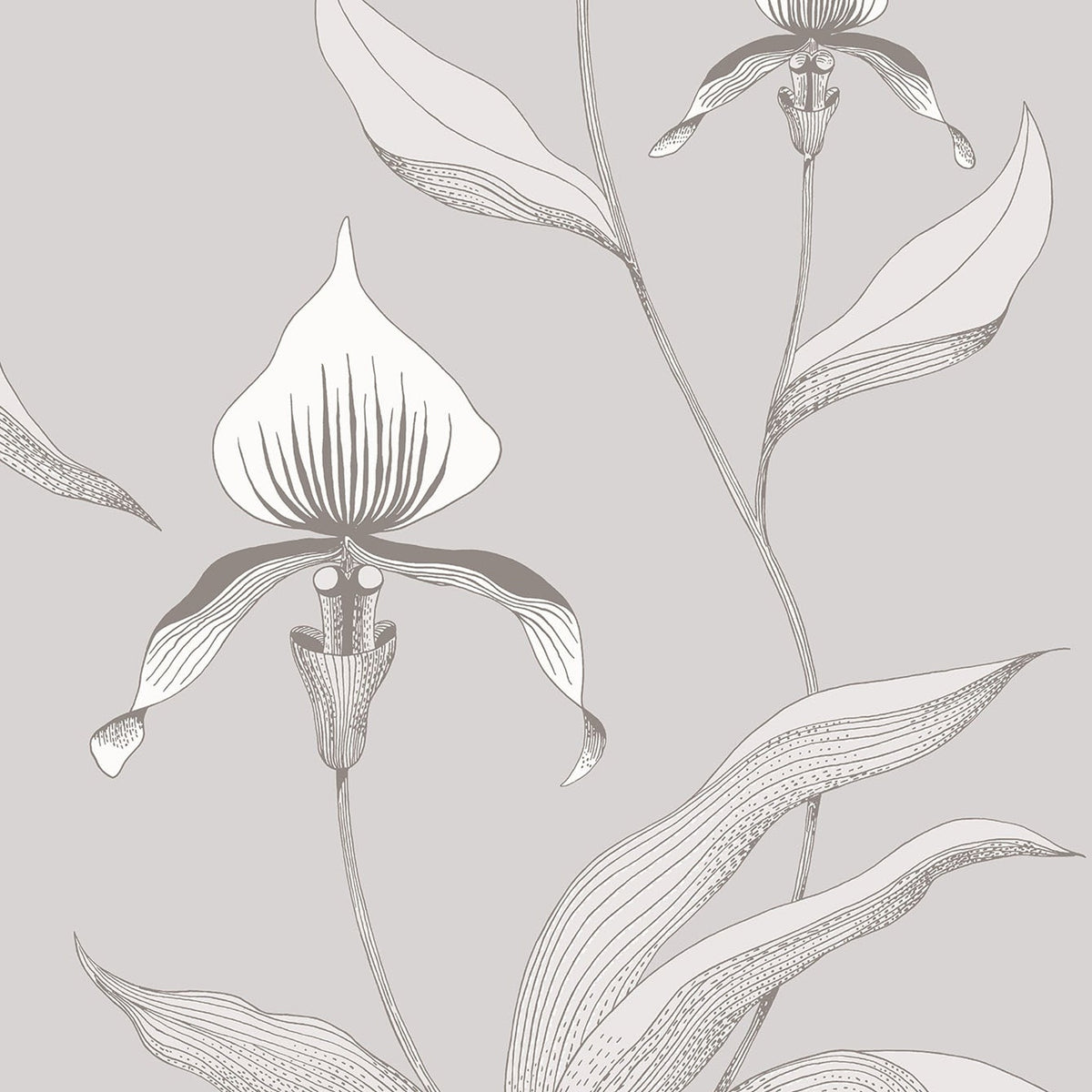 Cole & Son Orchid 95/10055 wallpaper pattern
