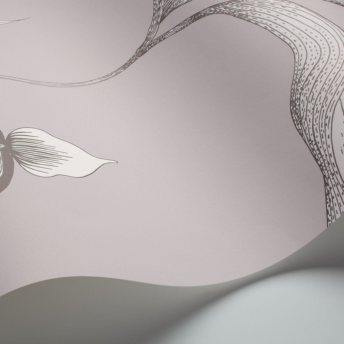 Cole & Son Orchid 95/10055 wallpaper curved detail