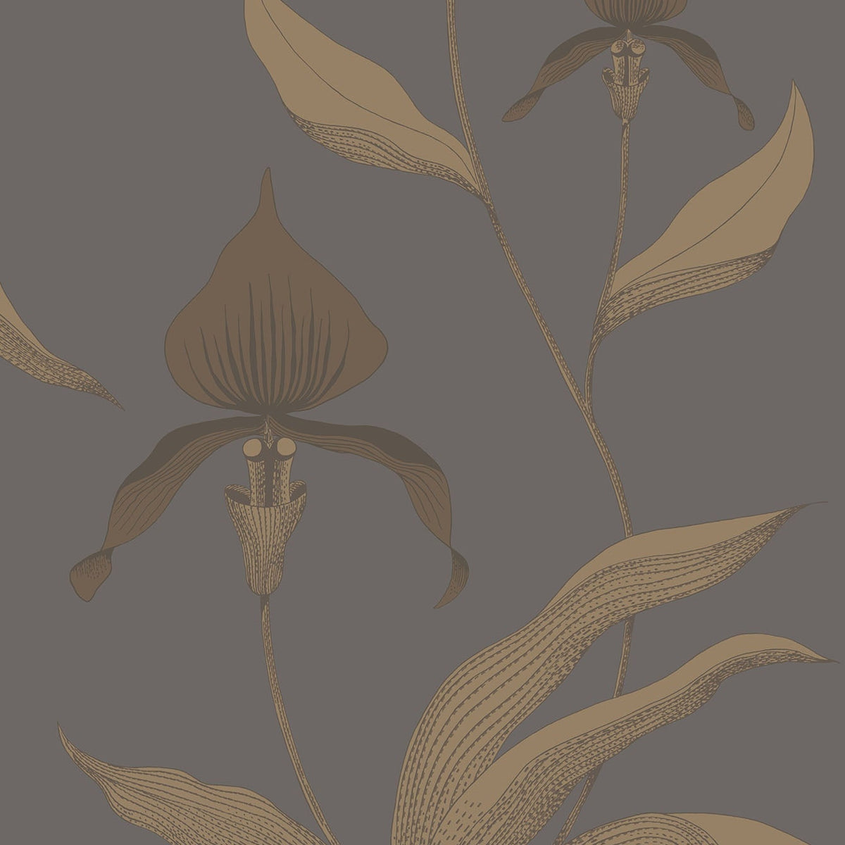 Cole & Son Orchid 95/10056 wallpaper pattern